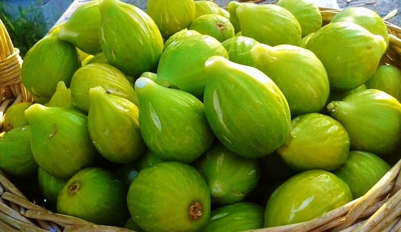 Il dolce Fico bianco del Cilento Ricetta Mediterranea